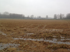 In cammino verso Orio Litta (23977 bytes)